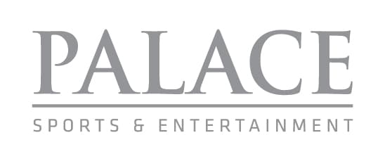 Casting Call for internet video talent and hosts for Palace Sports & Entertainment
